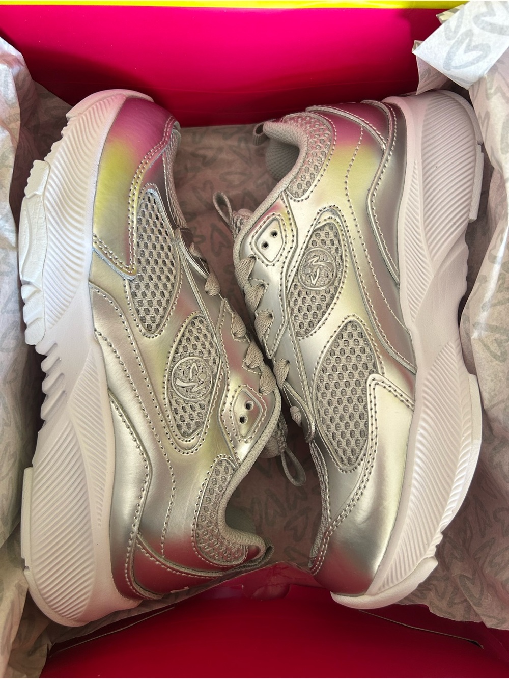 Zumba Train Mesh Special Edition Silver